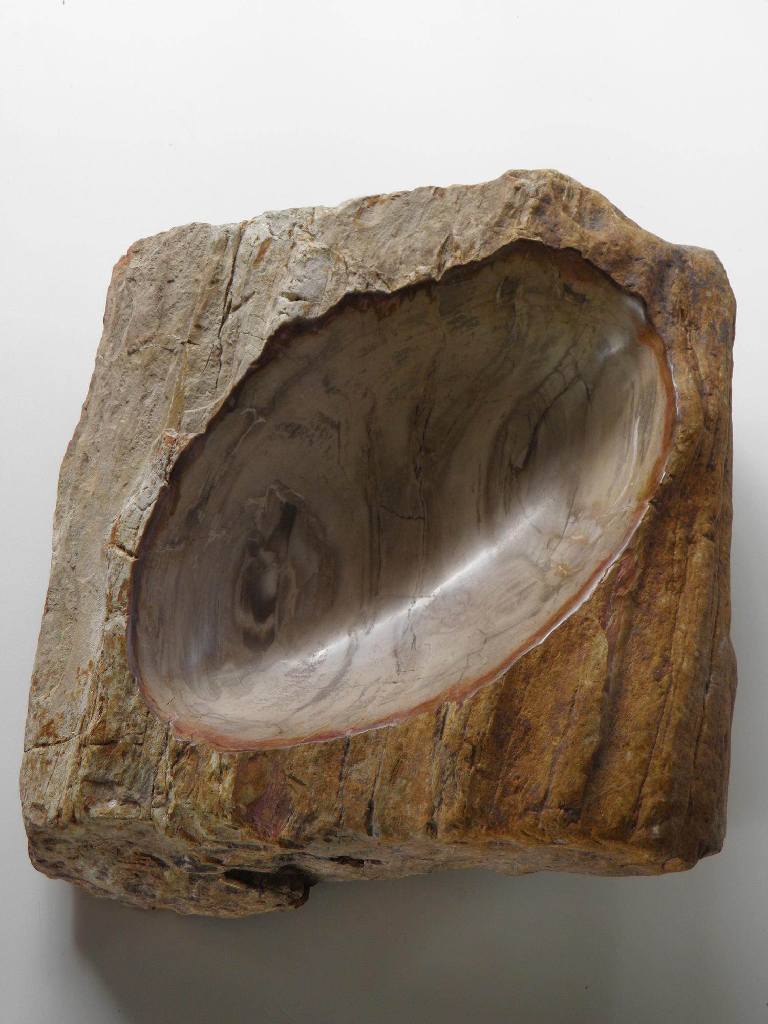 Petrified wood.
Made in 2015